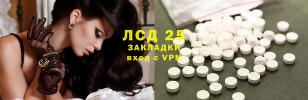 крисы Алзамай