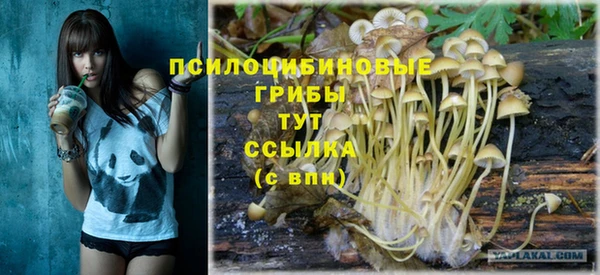 2c-b Алексин