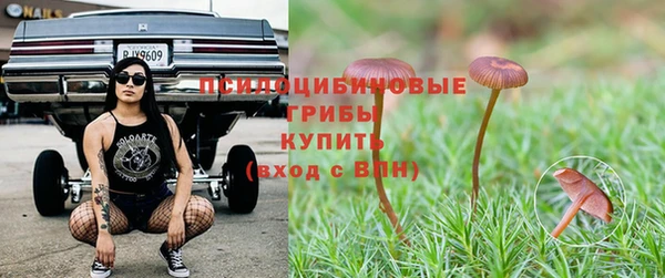 дмт Алексеевка