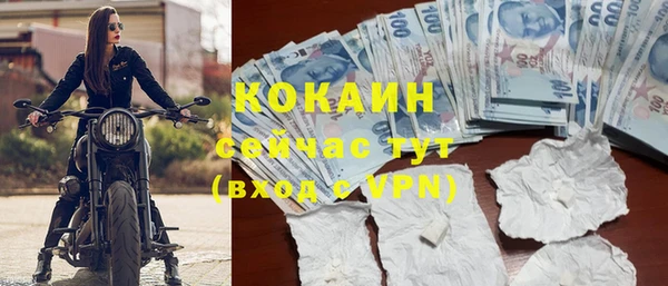 крисы Алзамай